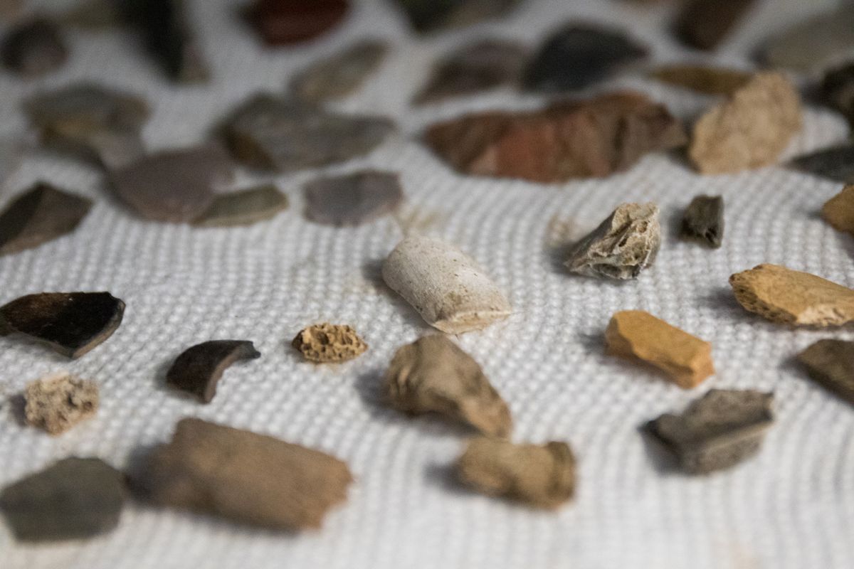 Photo of archaeological samples