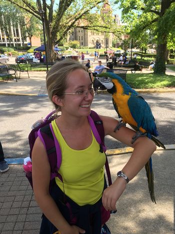 Person smiling seated outside with a blue bird perched on her arm