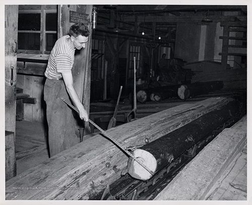Man working with logs