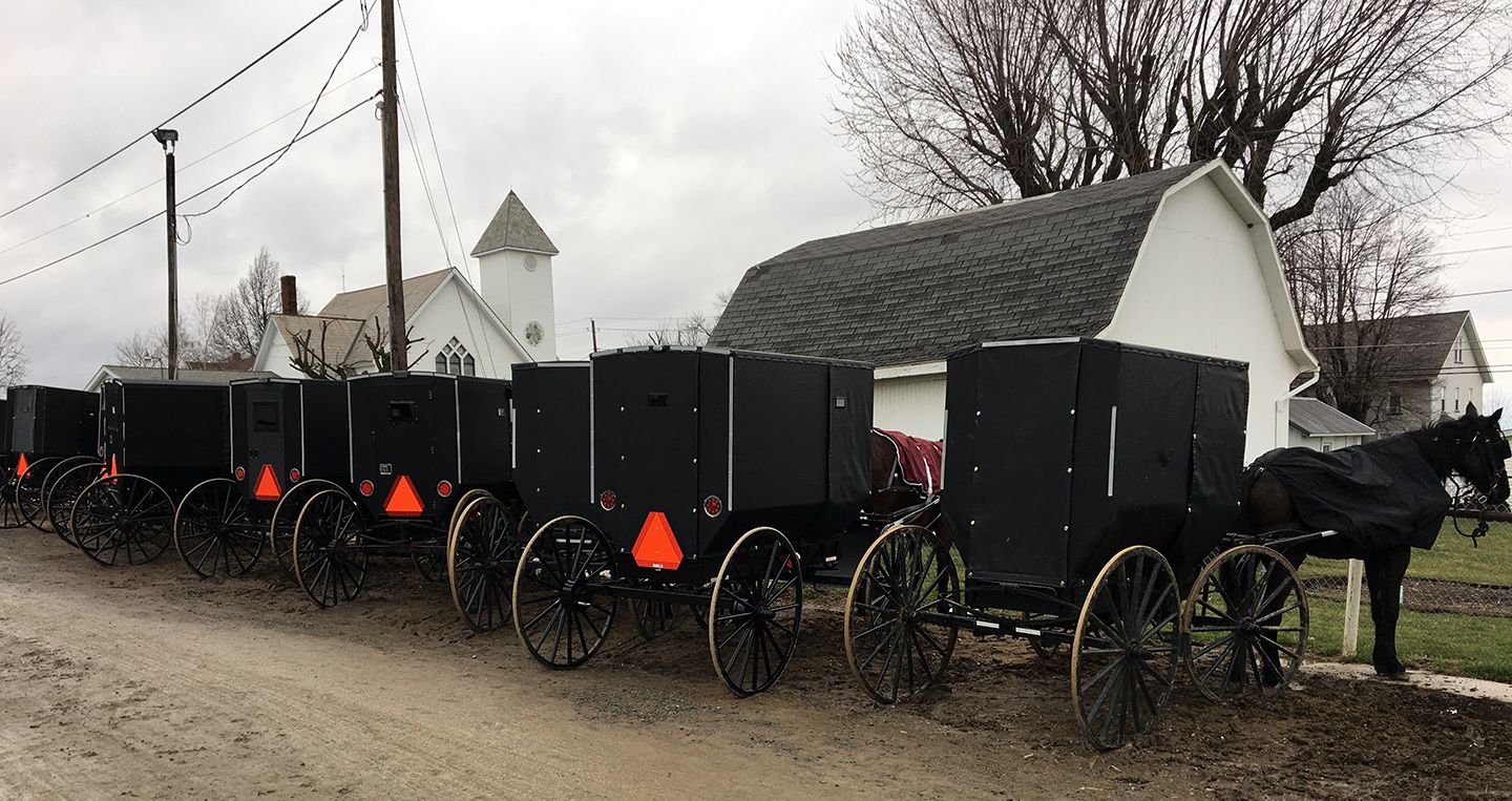 A line of horses connected to carriages